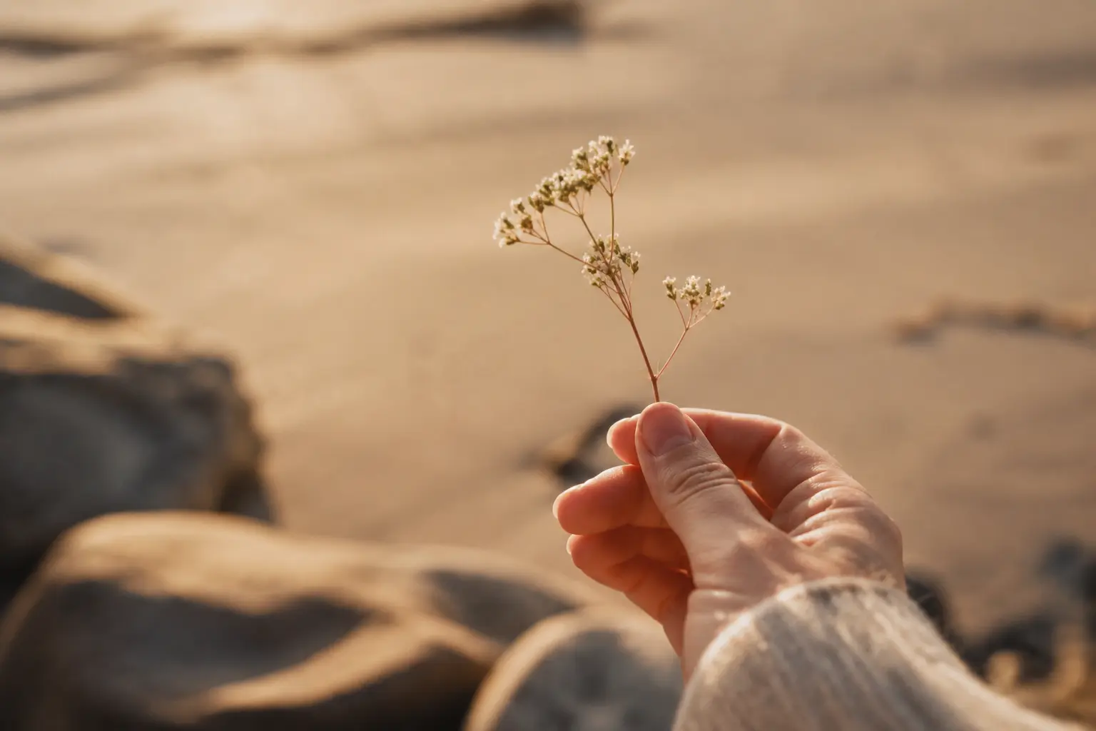 En hånd holder nænsomt en lille blomst i varmt sollys